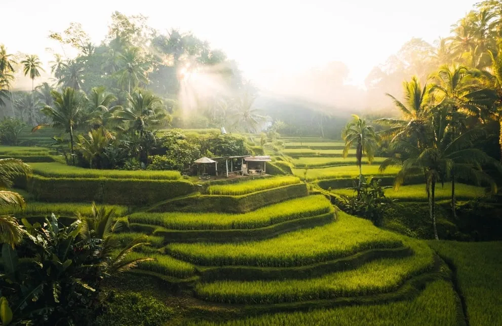 Rtreat na Bali v prírode